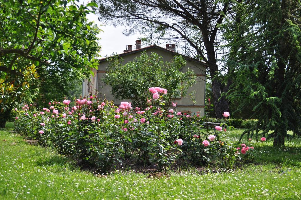 Domaine De Belcayre Bed & Breakfast Montauban Exterior photo